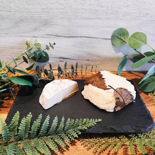 モテアラフィユ