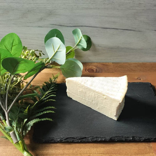 ダフィノワエクセレンス